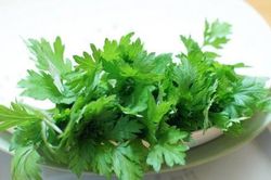 6 lợi ích tuyệt vời của cây ngải cứu quen thuộc