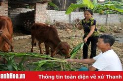 Huyện Nông Cống có 50% số xã đạt chuẩn nông thôn mới