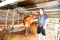 Cam Lâm: Thực hiện hiệu quả ủy thác vốn vay