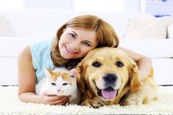 Không sinh con vì sợ tốn kém, nhiều cặp vợ chồng Mỹ coi thú cưng như con