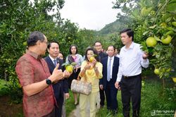 Đại sứ Thái Lan trải nghiệm du lịch cộng đồng tại Nghệ An