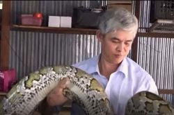 An Giang: Thu nhập cao từ mô hình nuôi trăn khổng lồ trong nhà