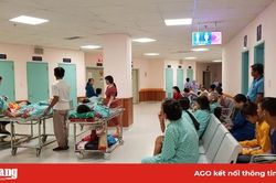 Bệnh viện Đa khoa Trung tâm An Giang: Áp dụng giá dịch vụ khám, chữa bệnh bảo hiểm y tế theo Thông tư 13