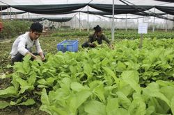 Hội LHTN huyện Gia Viễn: Đồng hành với thanh niên trong khởi nghiệp, lập nghiệp