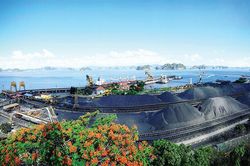 9 tháng, TKV tiêu thụ gần 34 triệu tấn than sạch