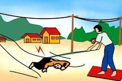 Học sinh lớp 2 ở Hà Nội thiệt mạng do điện giật