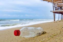 Hầu hết rác thải nhựa trên thế giới mang nhãn hiệu Coca-Cola, Nestle, Pepsi