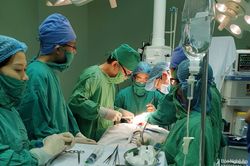 Đại hội thành lập Hội Tai Mũi Họng Nghệ An: Động lực để phát triển bền vững