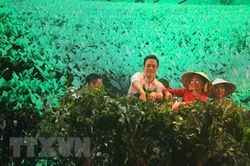 Nhiều hoạt động đa dạng tại Festival hoa Đà Lạt lần thứ tám