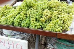 Ăn nho xanh không hạt: Đừng ham rẻ vì ảnh hưởng sức khỏe!