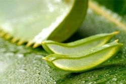 10 mẹo trị bỏng khẩn cấp khi gặp nạn tại nhà