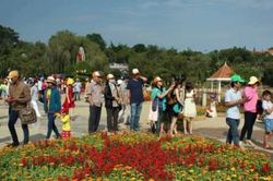 Festival hoa Đà Lạt lần thứ VIII - năm 2019 diễn ra từ ngày 20 - 24/12