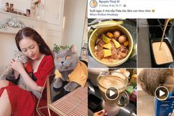 Thúy Vi đáp trả 'cực gắt' khi bị cư dân mạng 'trù ẻo' vì cho mèo ăn quá sang