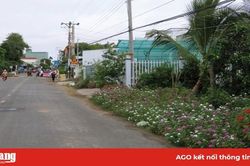 Trồng hoa tạo cảnh quan, đừng chỉ là phong trào