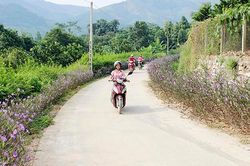 'Tuyến đường nở hoa' của phụ nữ xã Mường Cơi