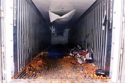 Giấc mơ đổi đời ở trời Tây trả giá bằng mạng sống của người Trung Quốc