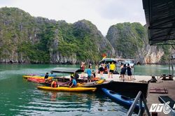 Quảng Ninh yêu cầu dừng tăng phí tham quan Vịnh Hạ Long