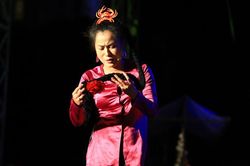Danh hài Hoài Linh giả làm mẹ Chí Tài trong live show