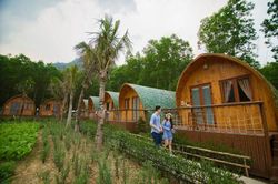 Farmstay - mô hình độc đáo và hấp dẫn