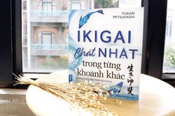 Ikigai - Chất Nhật trong từng khoảnh khắc