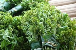 Các món rau rừng ngon 'quên lối về' của đồng bào Tây Bắc