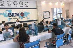 BIDV chi trả cổ tức bằng tiền cao kỷ lục 1.400 đồng/cổ phiếu