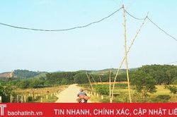 Cột điện tạm bợ bằng tre, gỗ - ẩn họa chết người ở xứ bưởi Hà Tĩnh