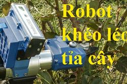 Robot khéo léo tỉa cây như thợ làm vườn thực thụ