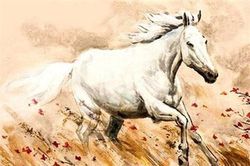 Top 3 con giáp nam có thể chọn mặt gửi vàng để làm chồng, vừa kiếm ra tiền, vừa yêu vợ con