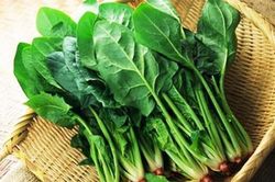 Cải bó xôi – siêu thực phẩm chống ung thư buồng trứng