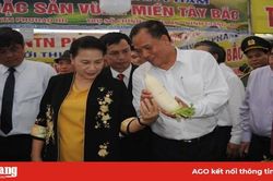 Khai mạc hội chợ làng nghề lần thứ 15 và Sản phẩm OCOP Việt Nam 2019