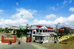 Gia Lai: 3 doanh nghiệp lớn liên kết sản xuất gắn với tiêu thụ