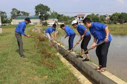 Tuổi trẻ Lạc Vân chung sức xây dựng Nông thôn mới