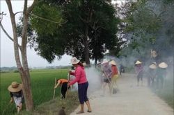 Chính trị - Xã hội Phụ nữ Tập hợp hội viên từ các mô hình, câu lạc bộ