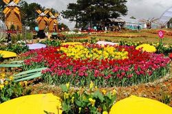 Festival Hoa Đà Lạt 2019 sẽ diễn ra từ ngày 20-24/12