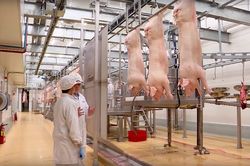 Khám phá bí mật giúp thịt mát công nghệ Châu Âu tươi ngon suốt 09 ngày (*)