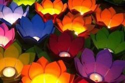 Đèn hoa giấy