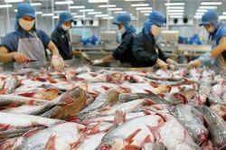 Giới thiệu cá sông Đà đến người tiêu dùng Thủ đô