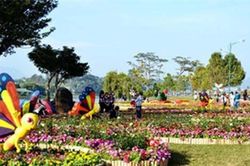 Điểm mới của Festival hoa Đà Lạt 2019