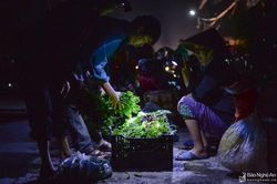 Soi đèn đi chợ ban đêm ở Nam Đàn