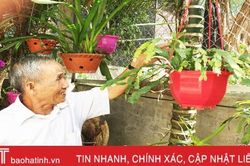 Lớp trẻ ngày nay cứ noi gương ông Nhật mà làm