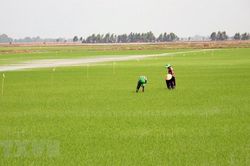 Kiên Giang huy động 17.000 tỷ đồng xây dựng nông thôn mới