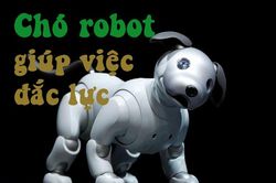 Robot chó cưng của Sony giúp việc đắc lực gia đình