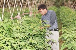 Hà Nam: Mô hình HTX thanh niên giúp nhiều bạn trẻ khởi nghiệp