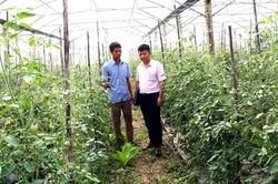 Vốn chính sách giúp thanh niên khởi nghiệp