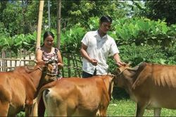 Chính trị - Xã hội An sinh xã hội Chủ động thoát nghèo