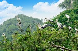 Khu du lịch sinh thái Thung Nham - Bản giao hưởng miền nhiệt đới