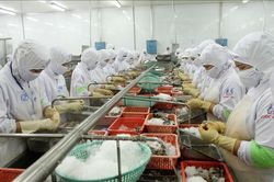 Tạo bứt phá thu hút đầu tư - Bài 1: Điểm nhấn mời gọi doanh nghiệp
