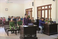 Lĩnh án chung thân vì dùng xăng đốt mẹ đẻ