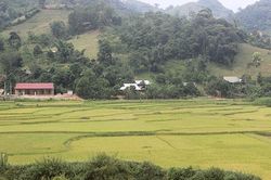 Song Khủa mùa lúa chín